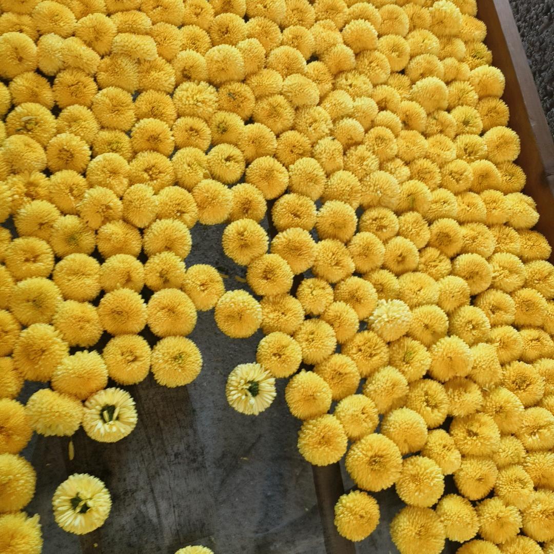 梦里的梦，梦里的你