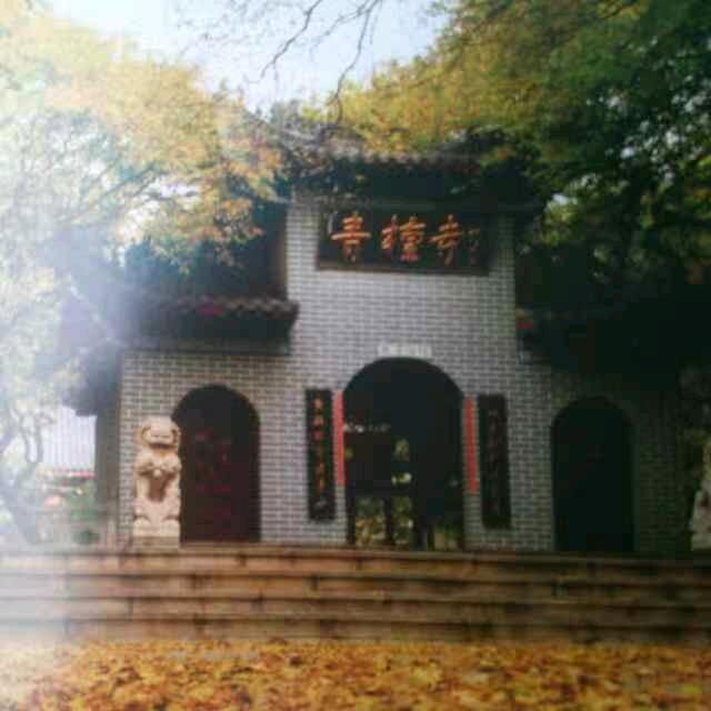 杨春-