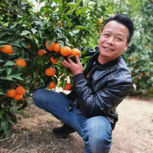 广西老表（果蔬销售）