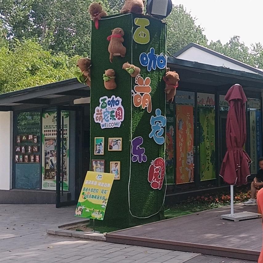 百咖萌宠、小茹