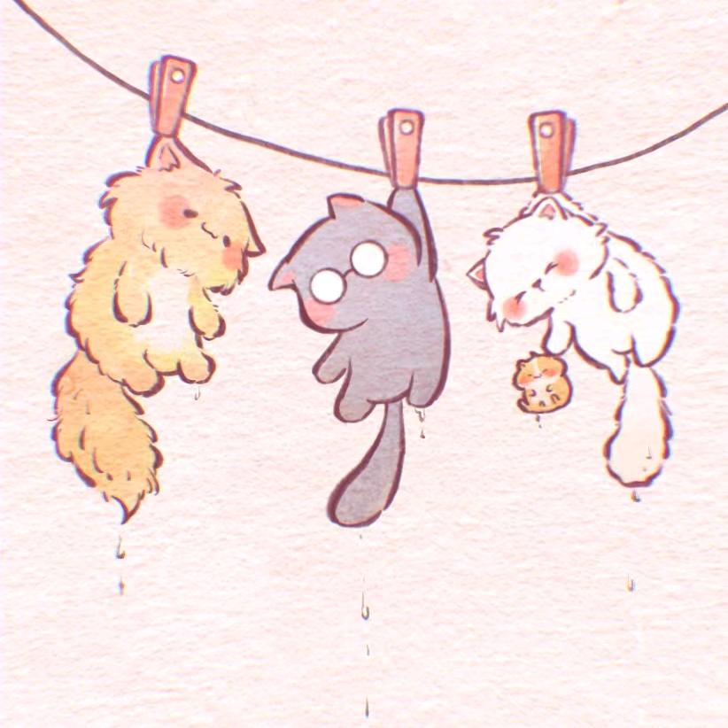 雪儿拿铁