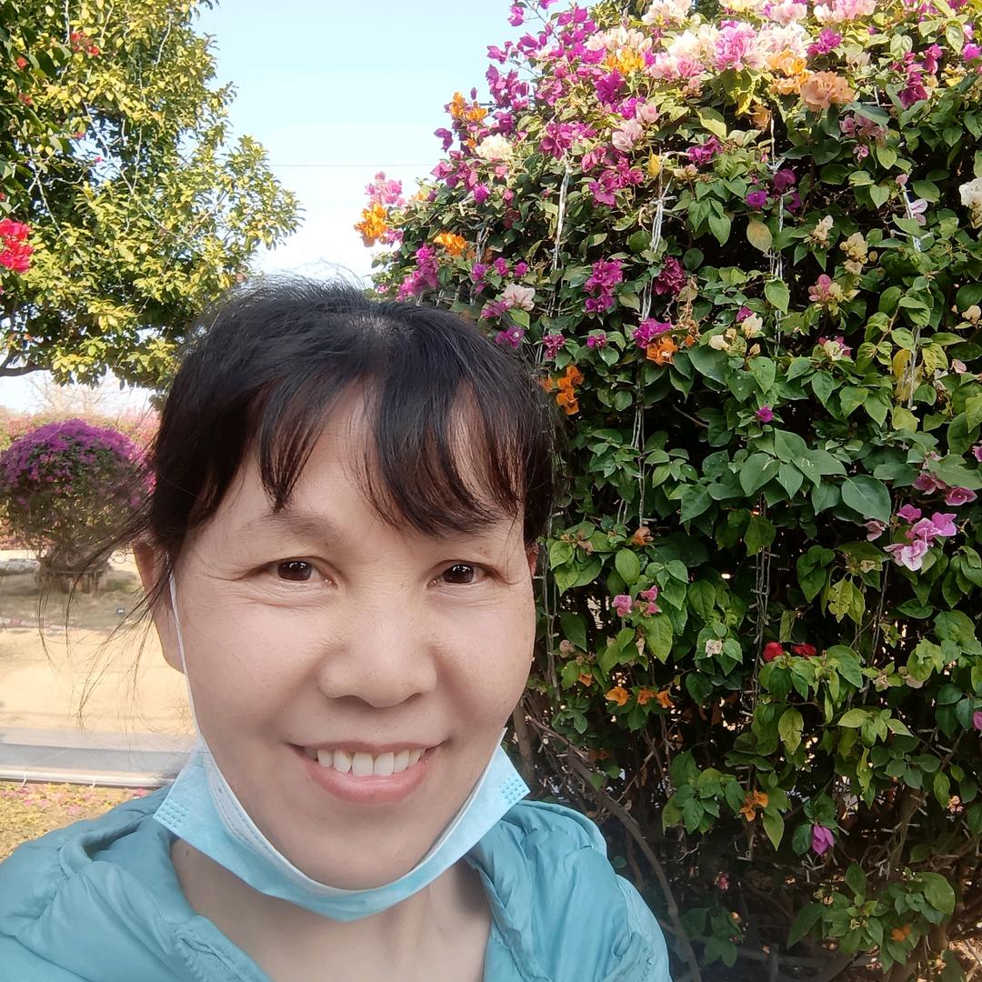 来去自由