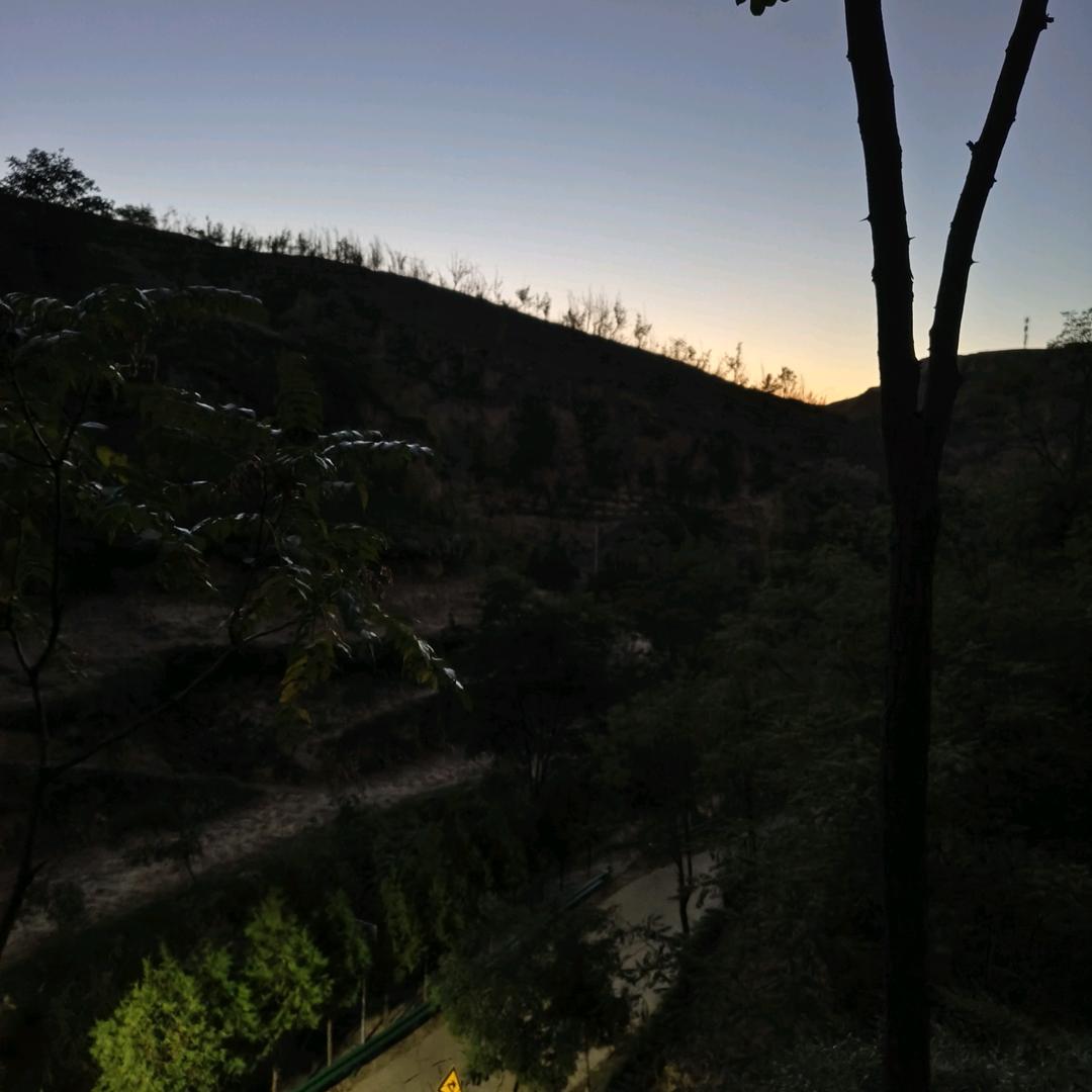 爱吃鸡翅膀的路飞