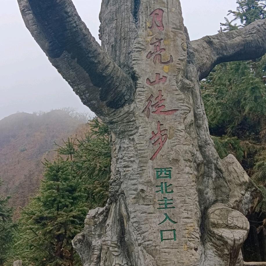冰心冰心