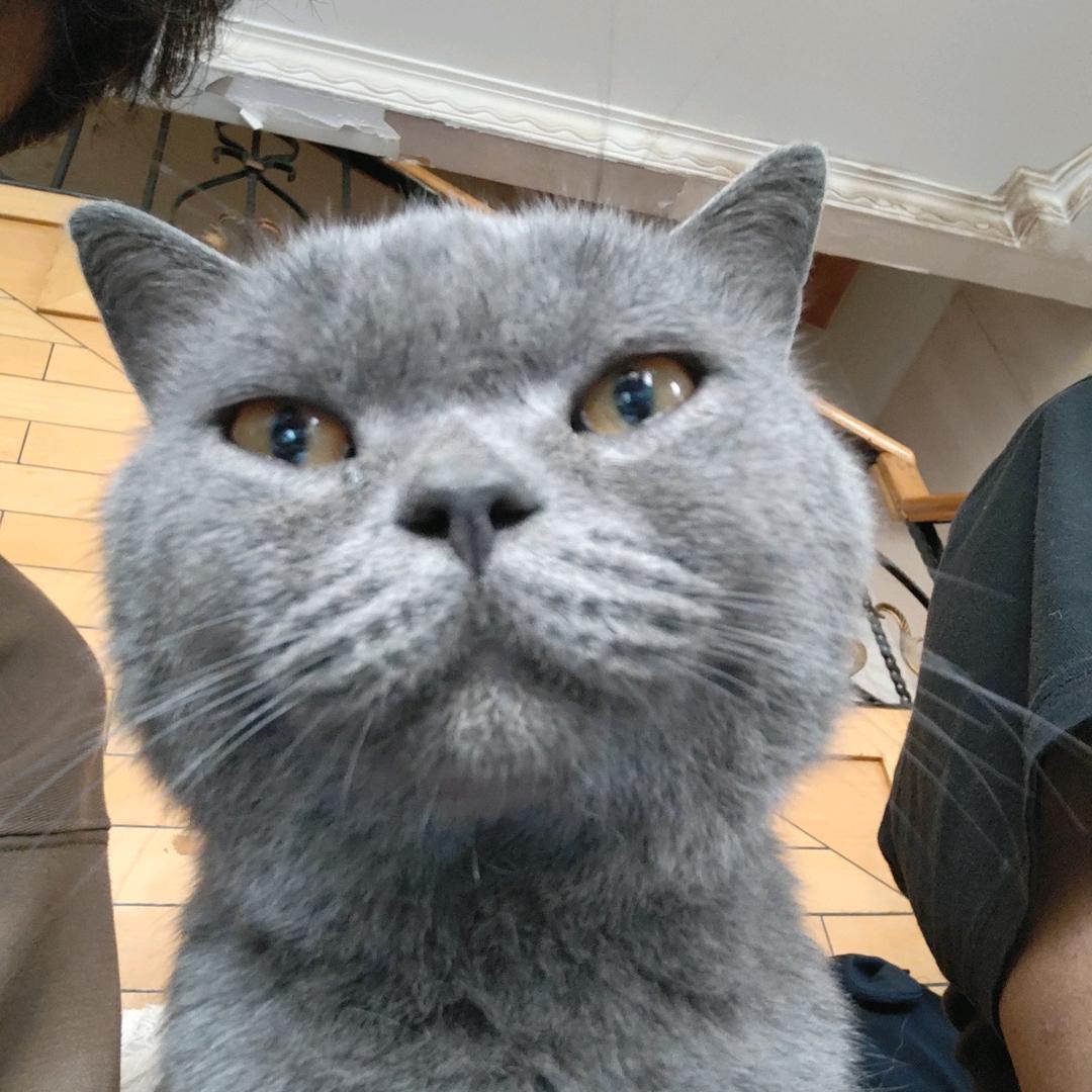 睡醒了起床不困