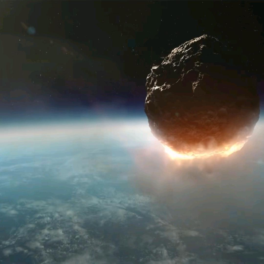 🌊海浪与狗🐩