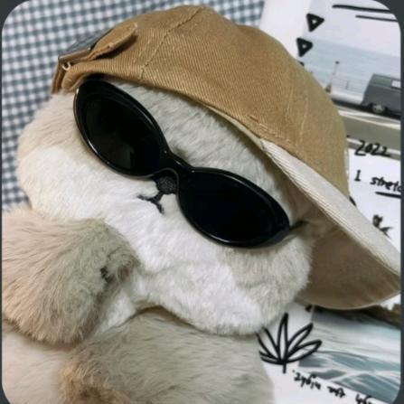 不许玩小七