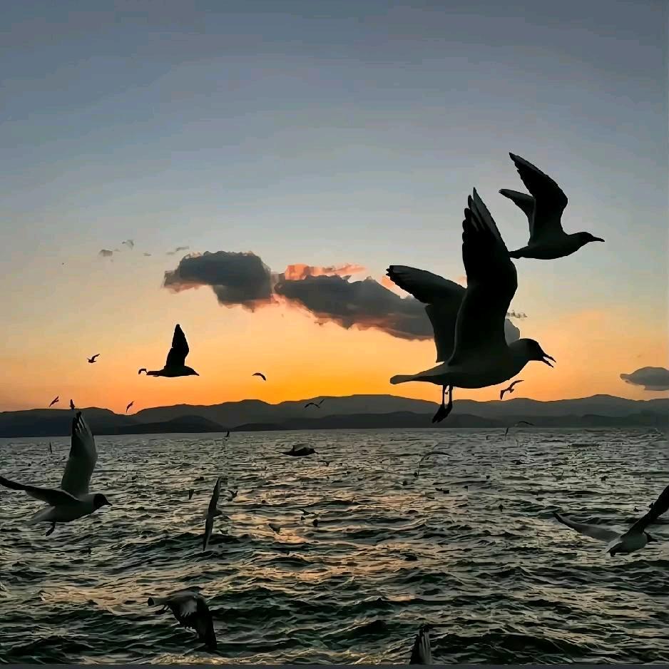 Cisyam