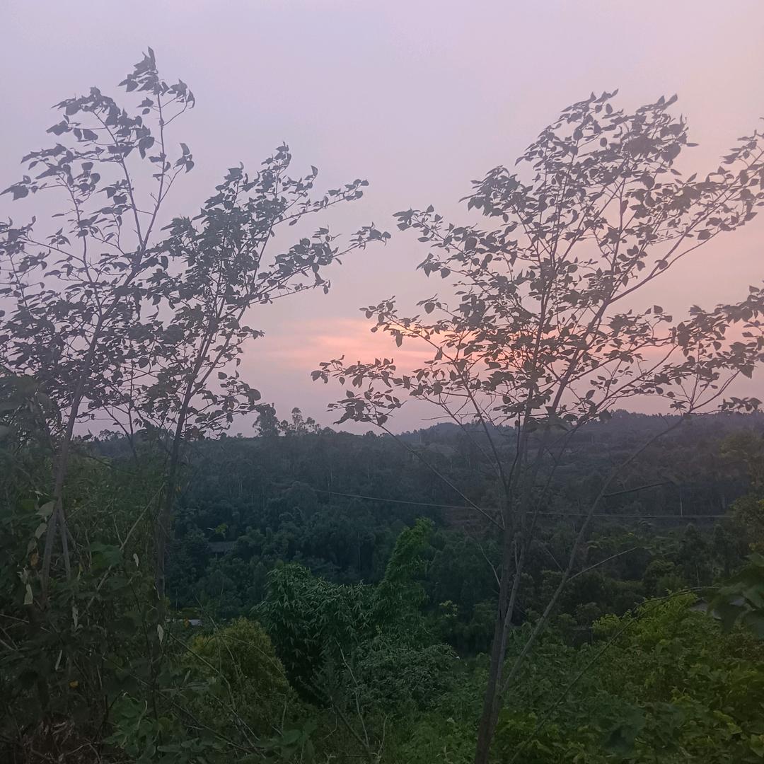 用户3597526556350吴师傅