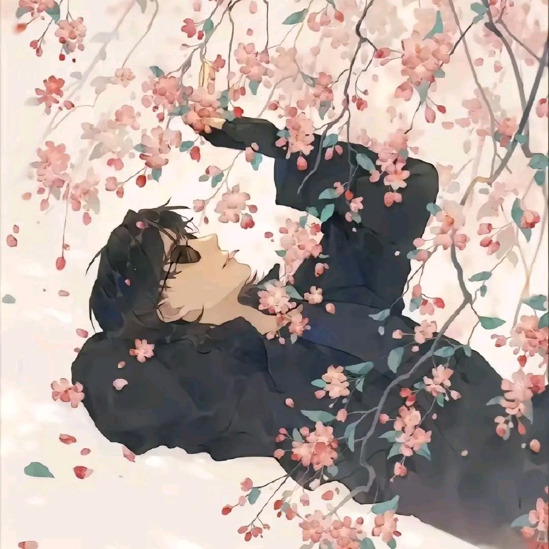 闪闪发光