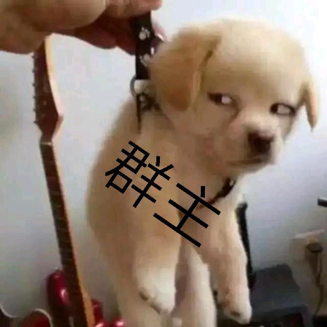 担架队队长（小云）