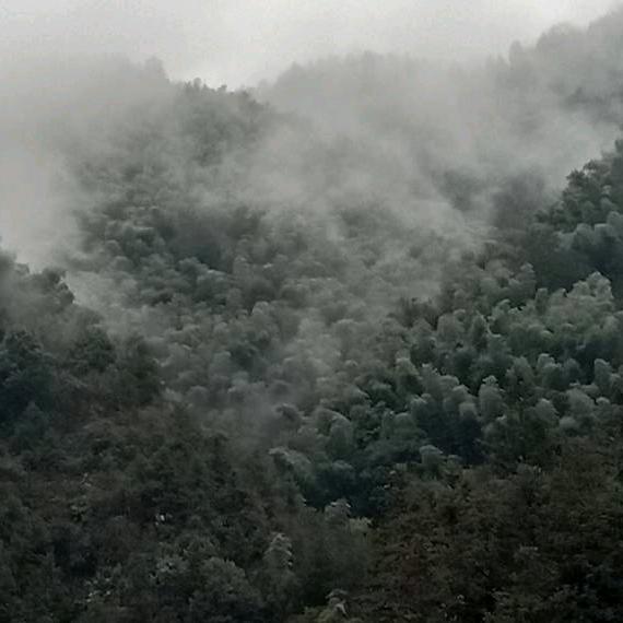 平凡头像