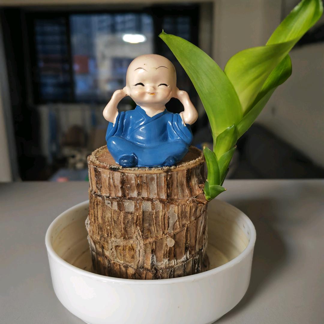 刚哥