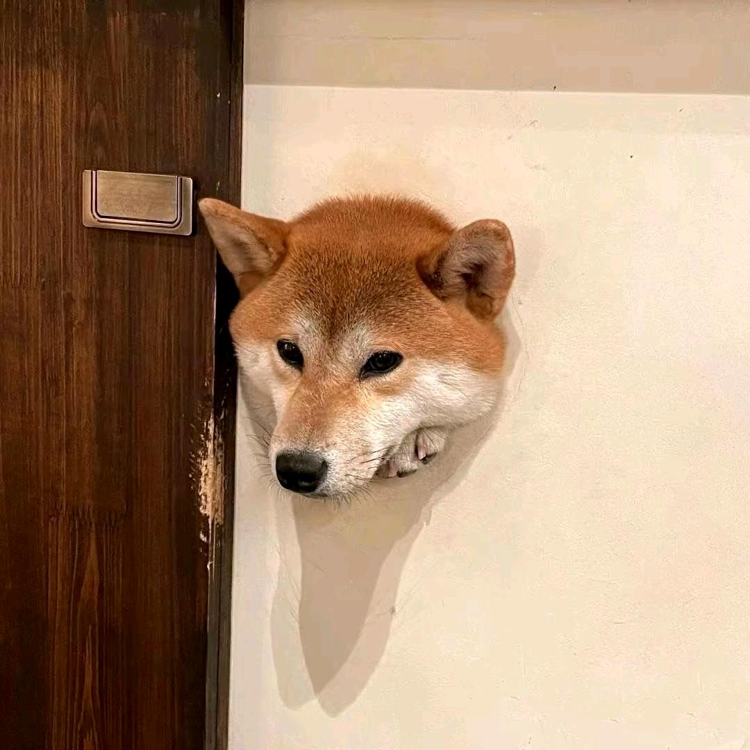 钱途无量