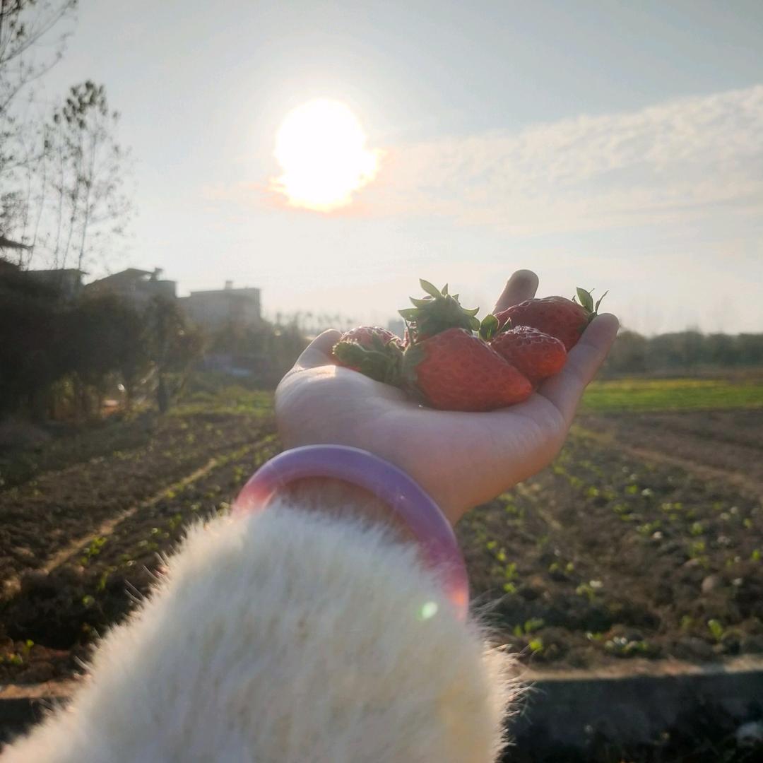 🍓施与授---全城配送🍓