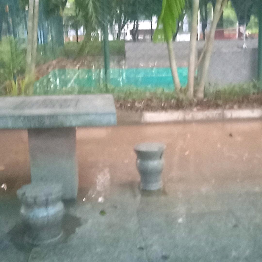 风雨无阻