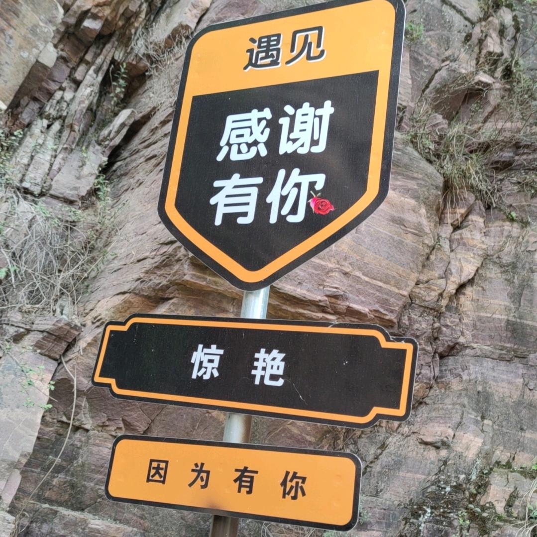 陈心如意