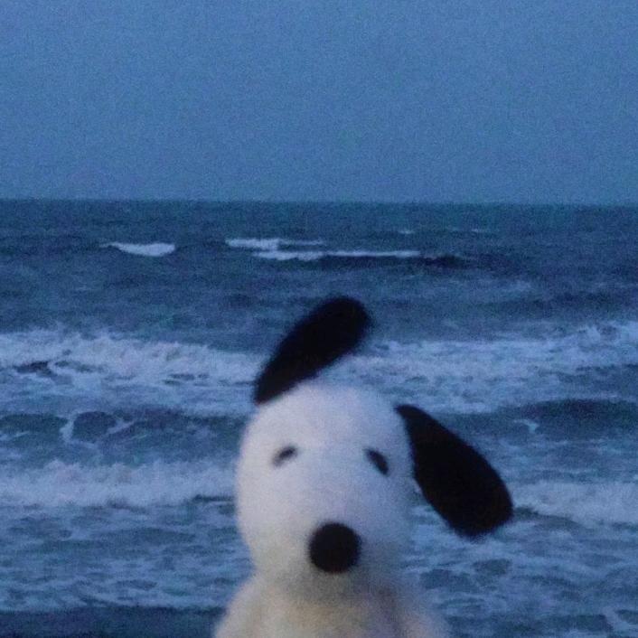中二