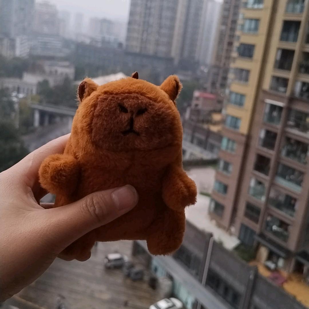 杨🌟杨🌸得✨一