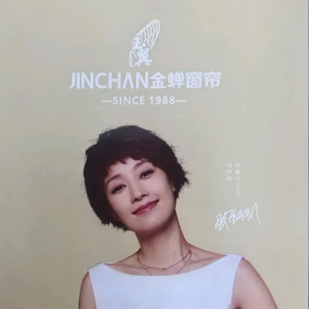 @小陈金蝉窗帘店