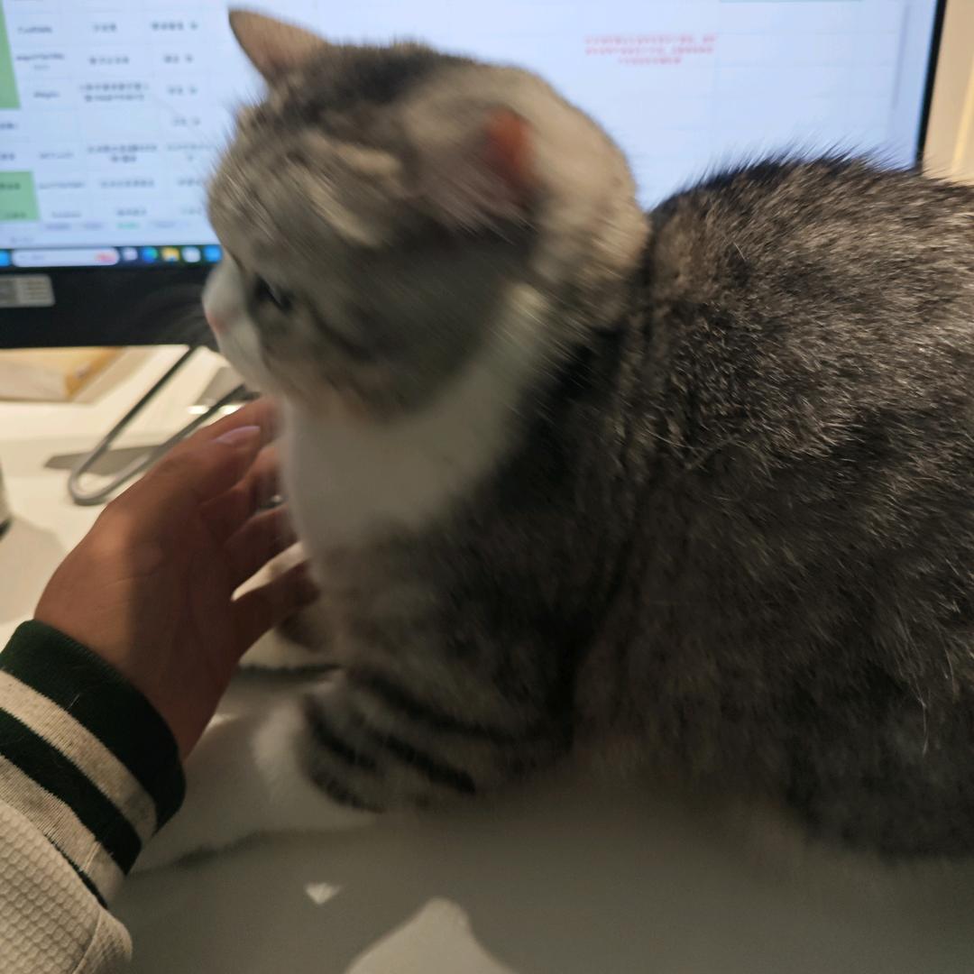 北溪