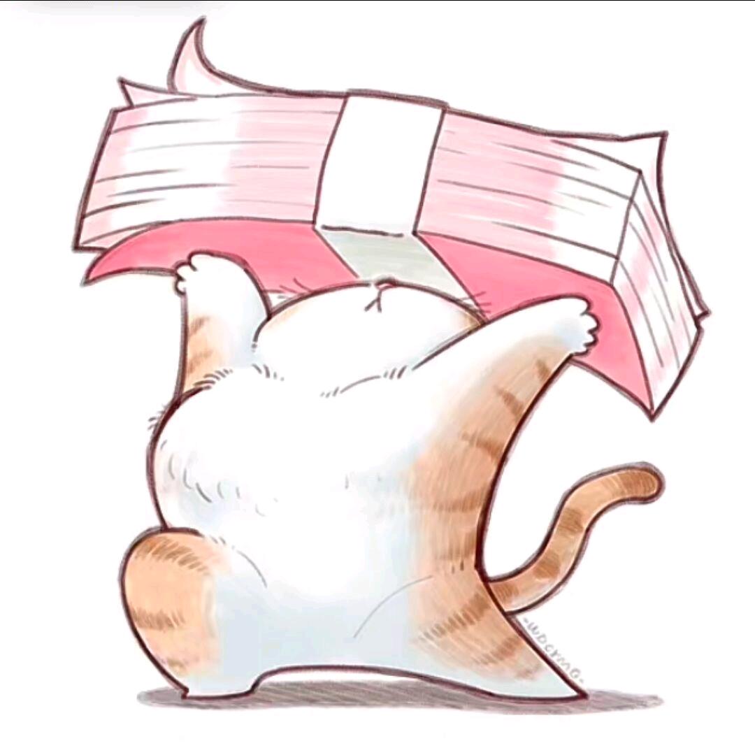 bodhictta头像