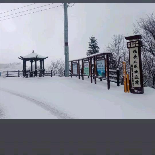 项姐