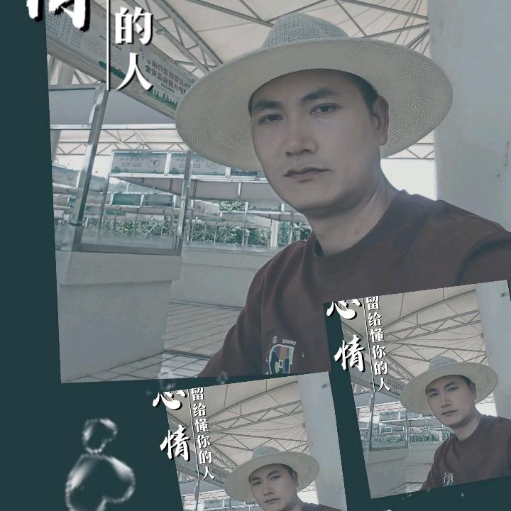 🇨🇳董香四溢👀