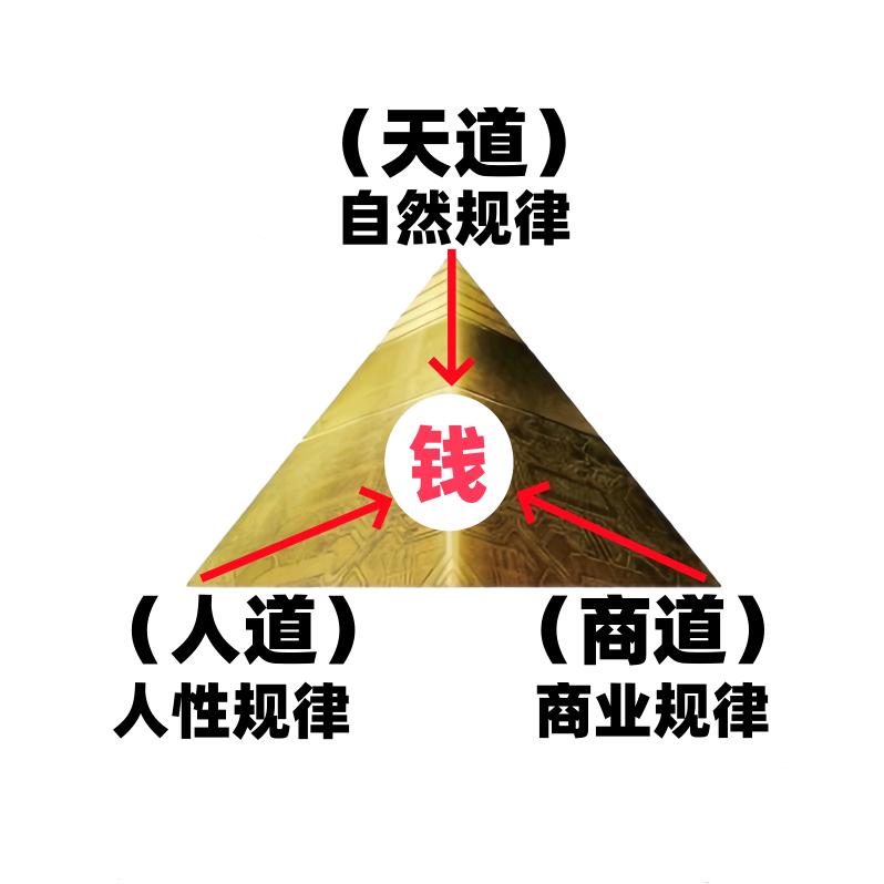 NLP智慧杨仙仙