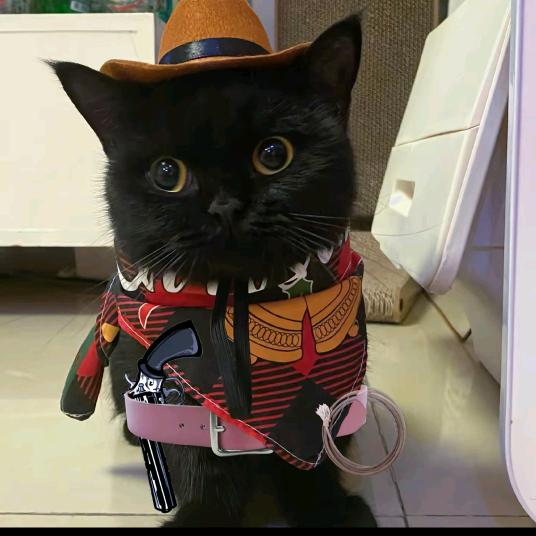 昊昊平价超市甄选