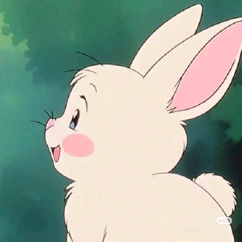 不信谣不传姚同学