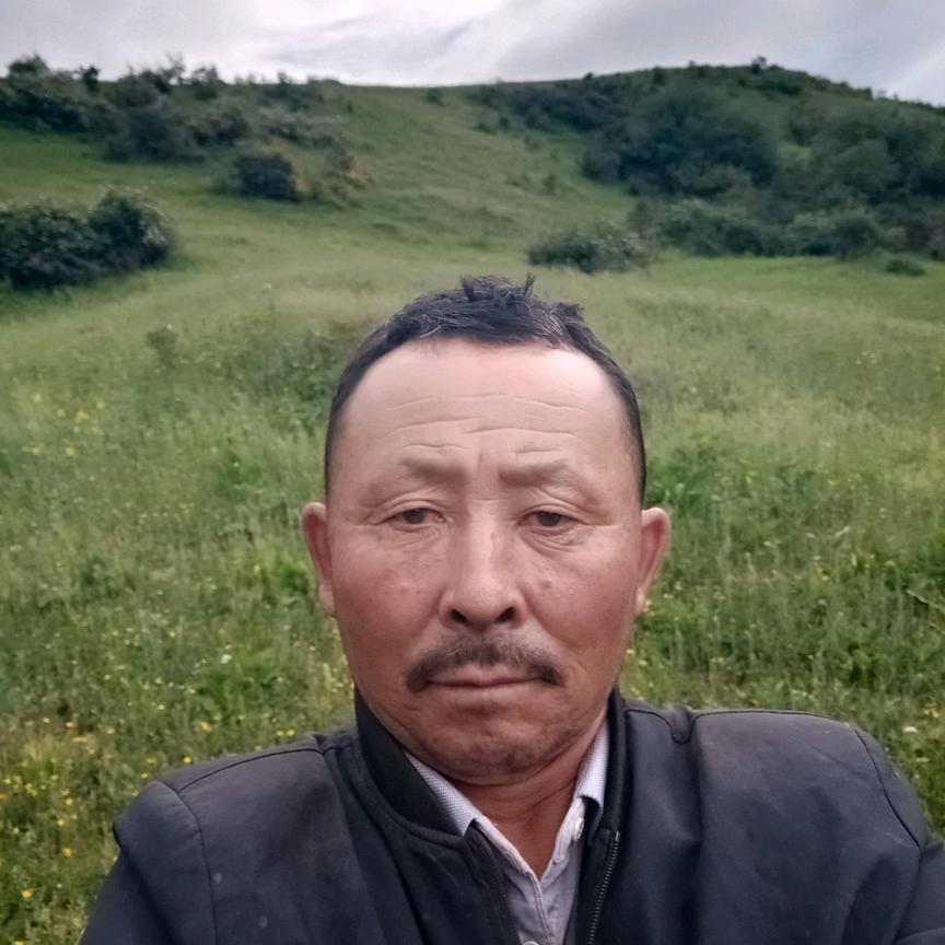 巴合提