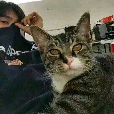 会发光的黑大帅