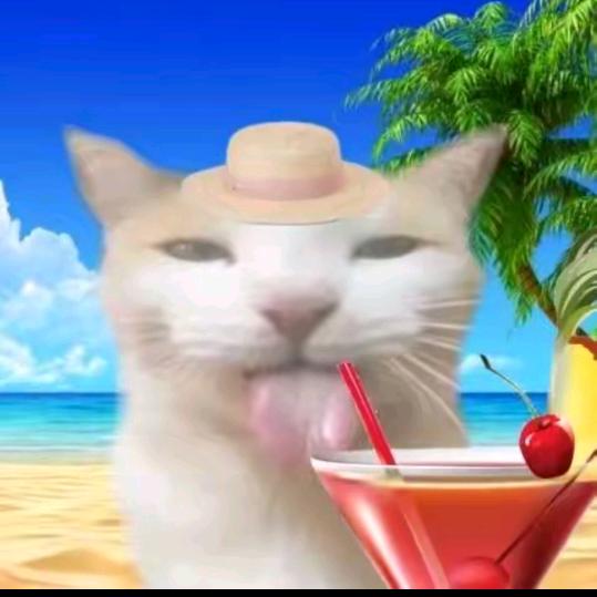 发现老公是gay含泪穿上男装跟他搞几