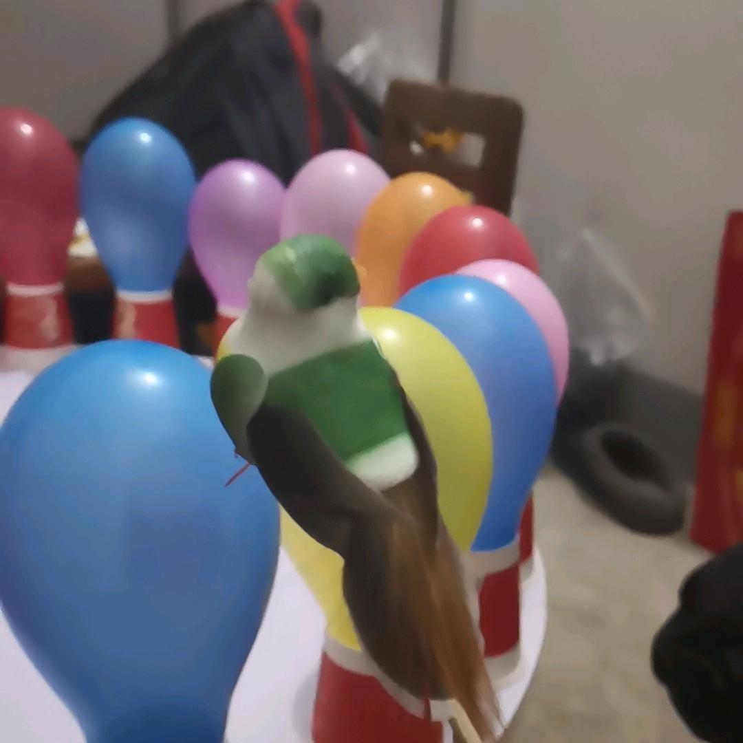 愤怒的小鸟5791