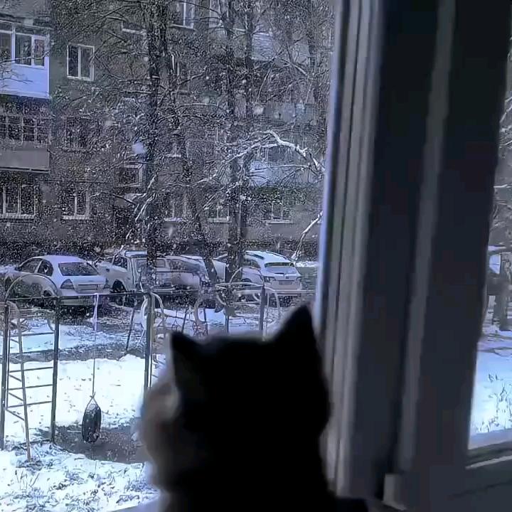 你存在我的记忆里