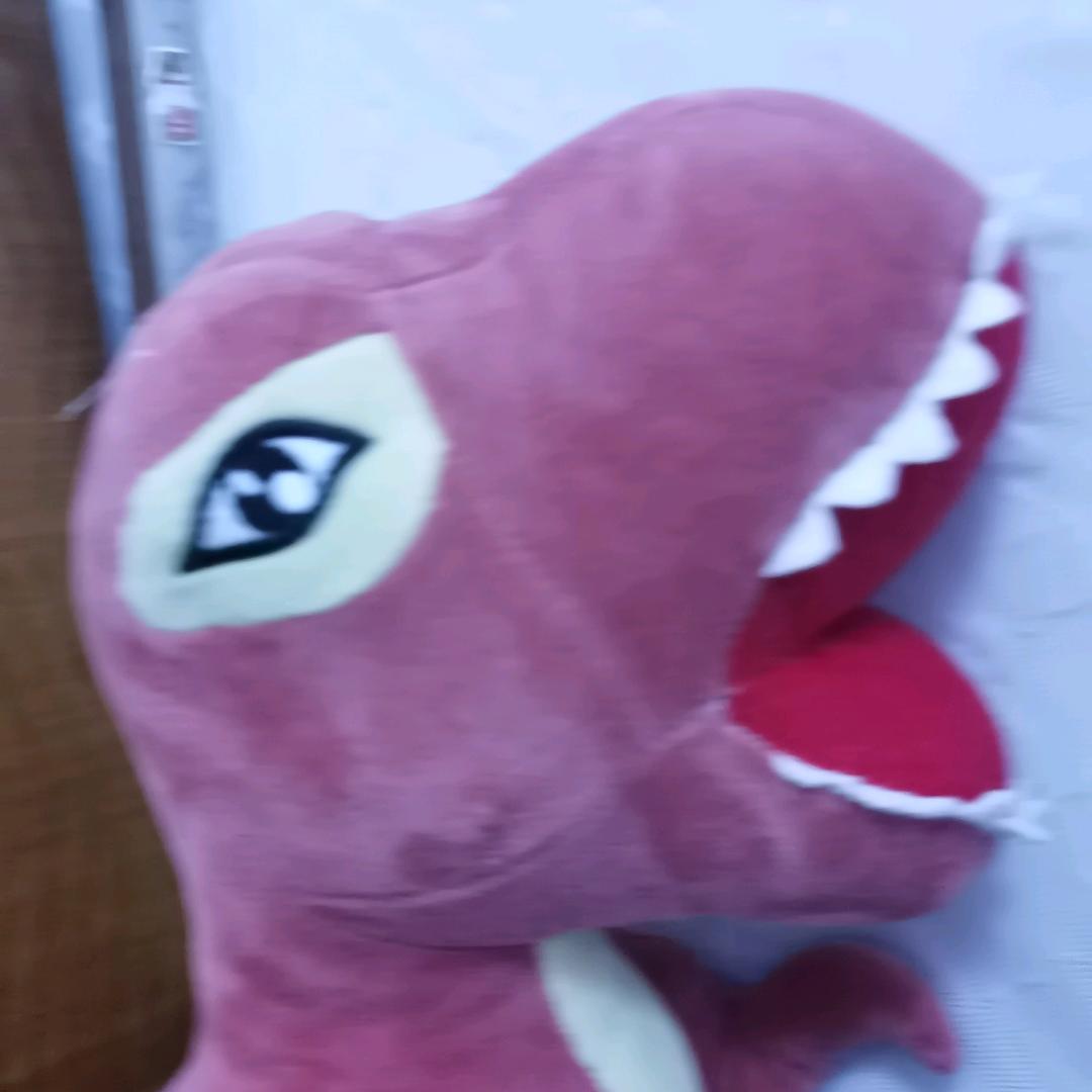 骑龙大叔