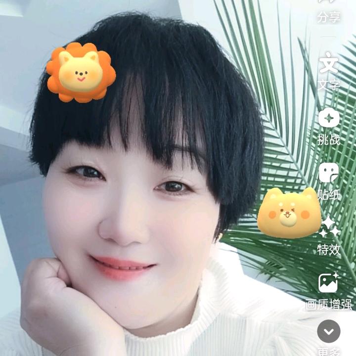 丽梦无痕