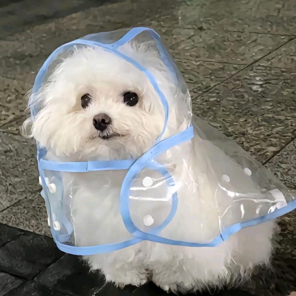 椰子水