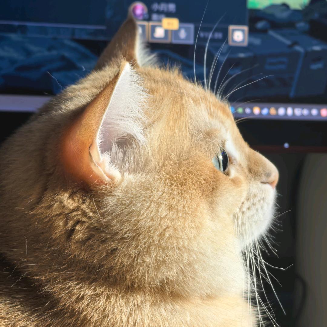 ៸៸᳐别再熬夜了៸៸᳐ ੭🐱