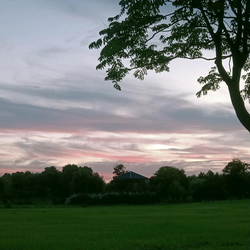 朝花夕拾