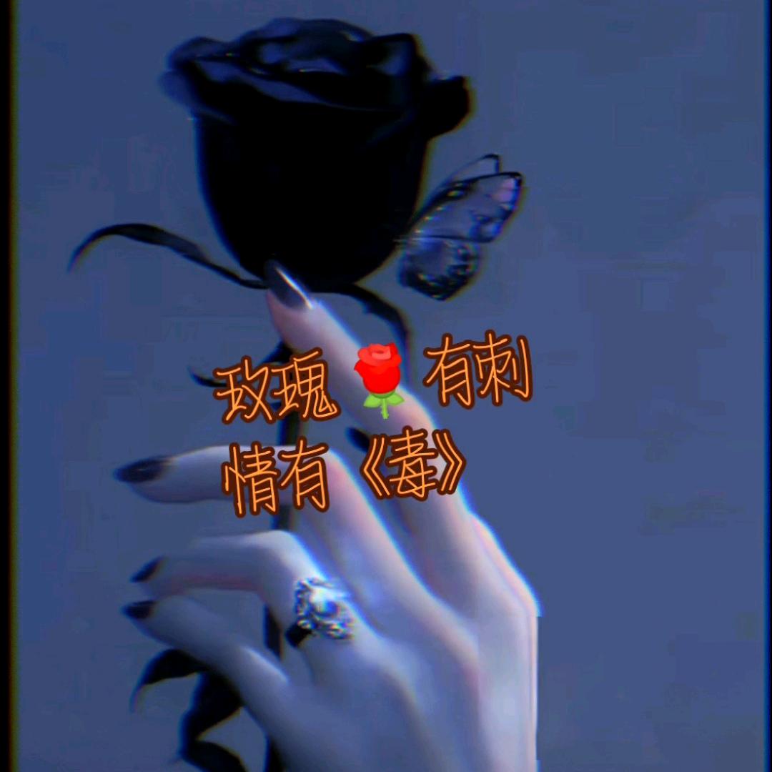 情有毒《玫瑰🌹》有刺