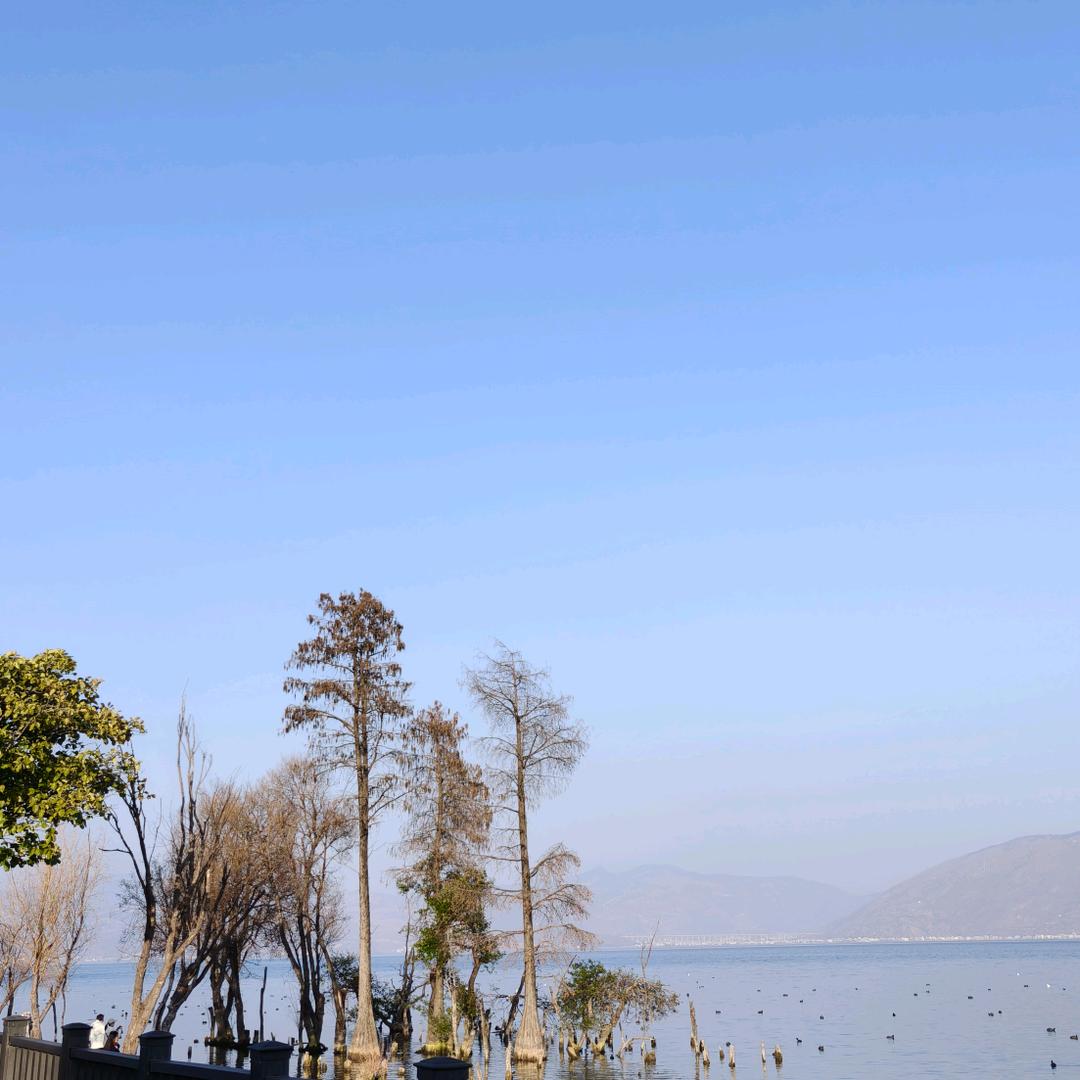 一口吃个胖子