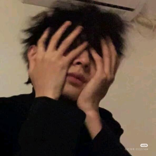 摆摆正✨（gyx的兵）