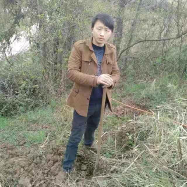 胡作非为
