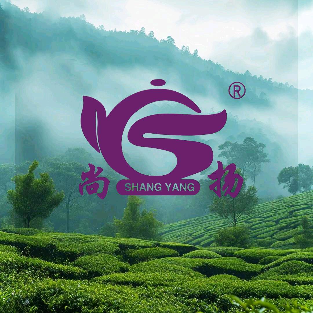 尚扬茶业
