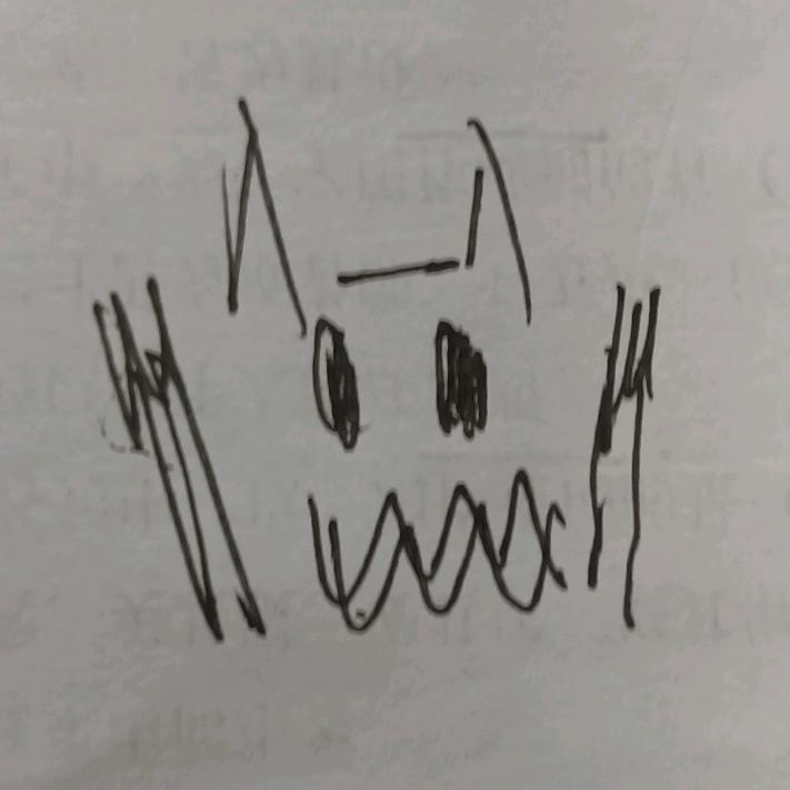 总会有只猫的