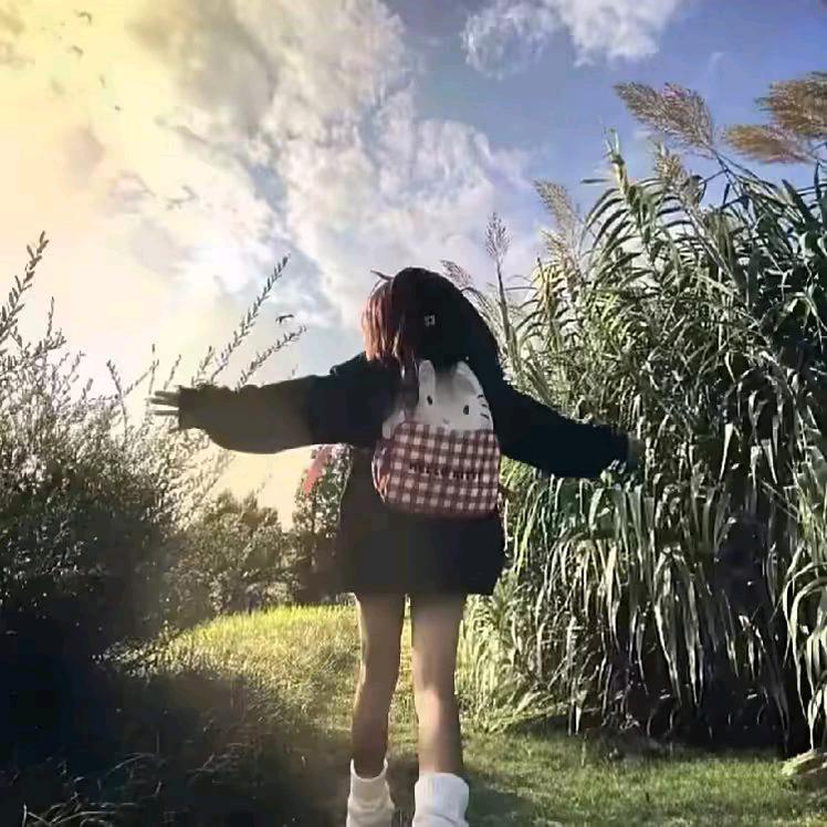 -暴躁小鱼-