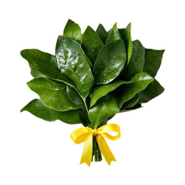 凌晨流泪💦（上班疯狂版）