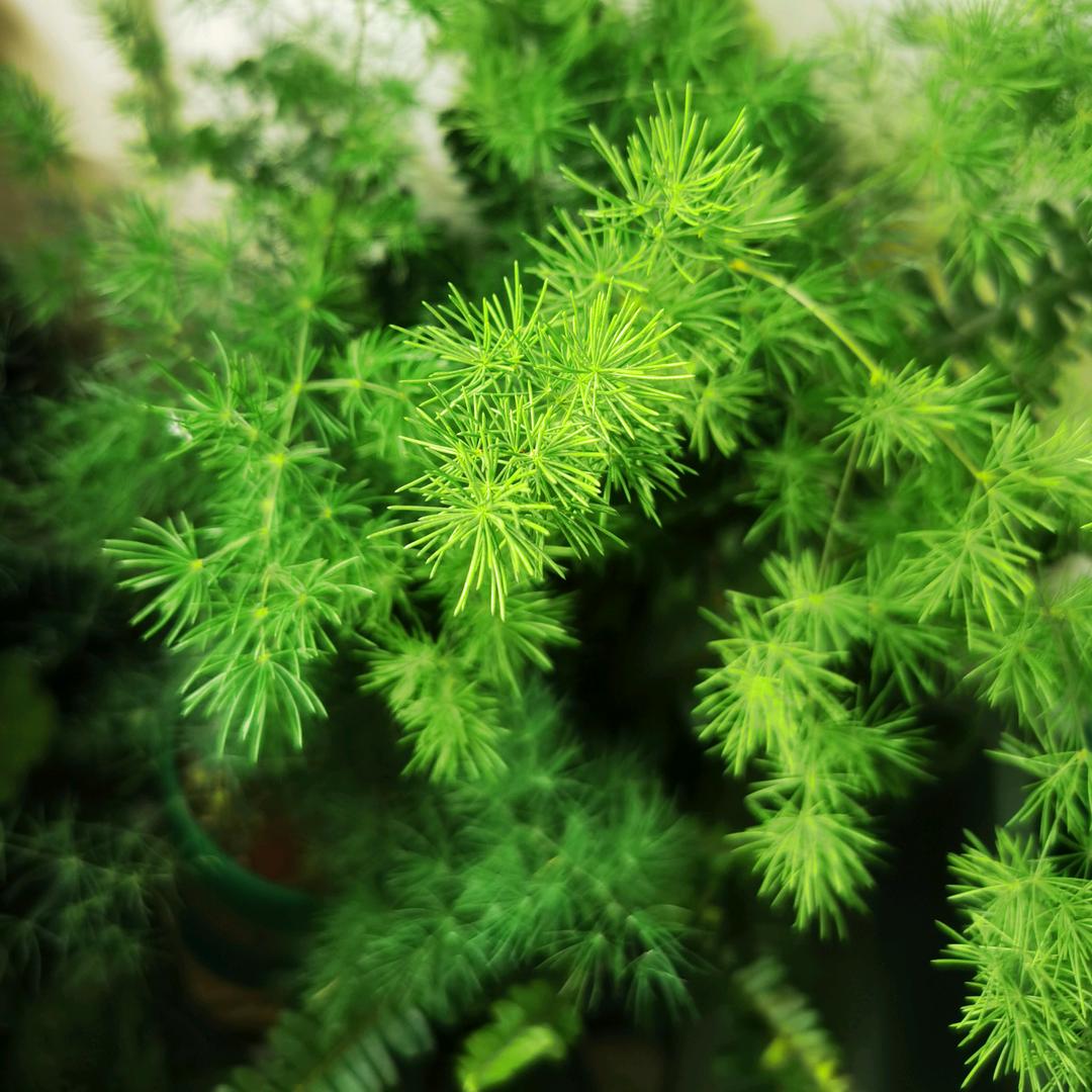 只管努力～～